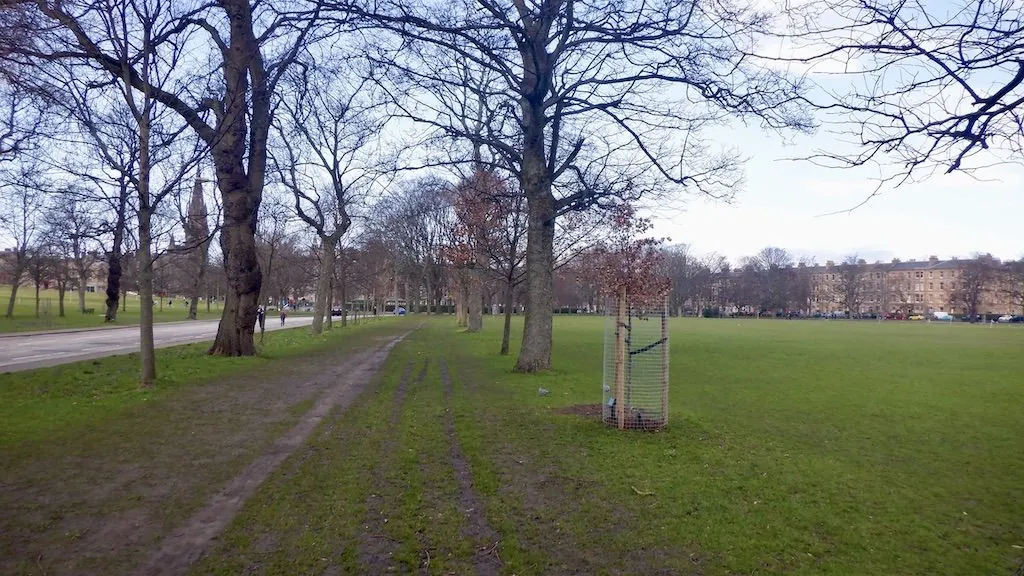 Runners' paths in The Meadows
