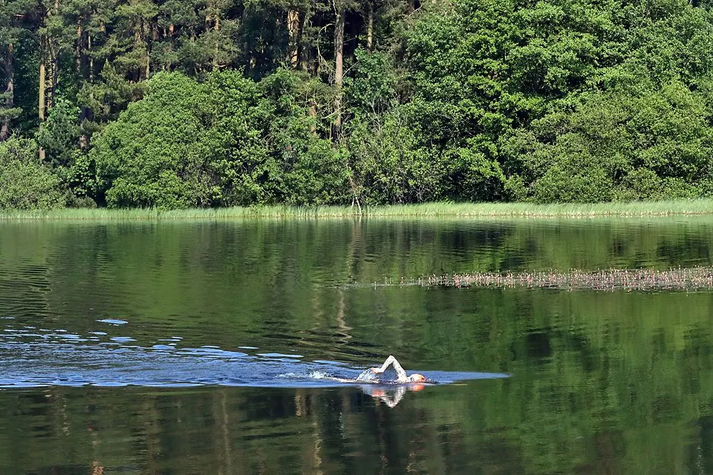 Swimmer with a bright tow float in a loch