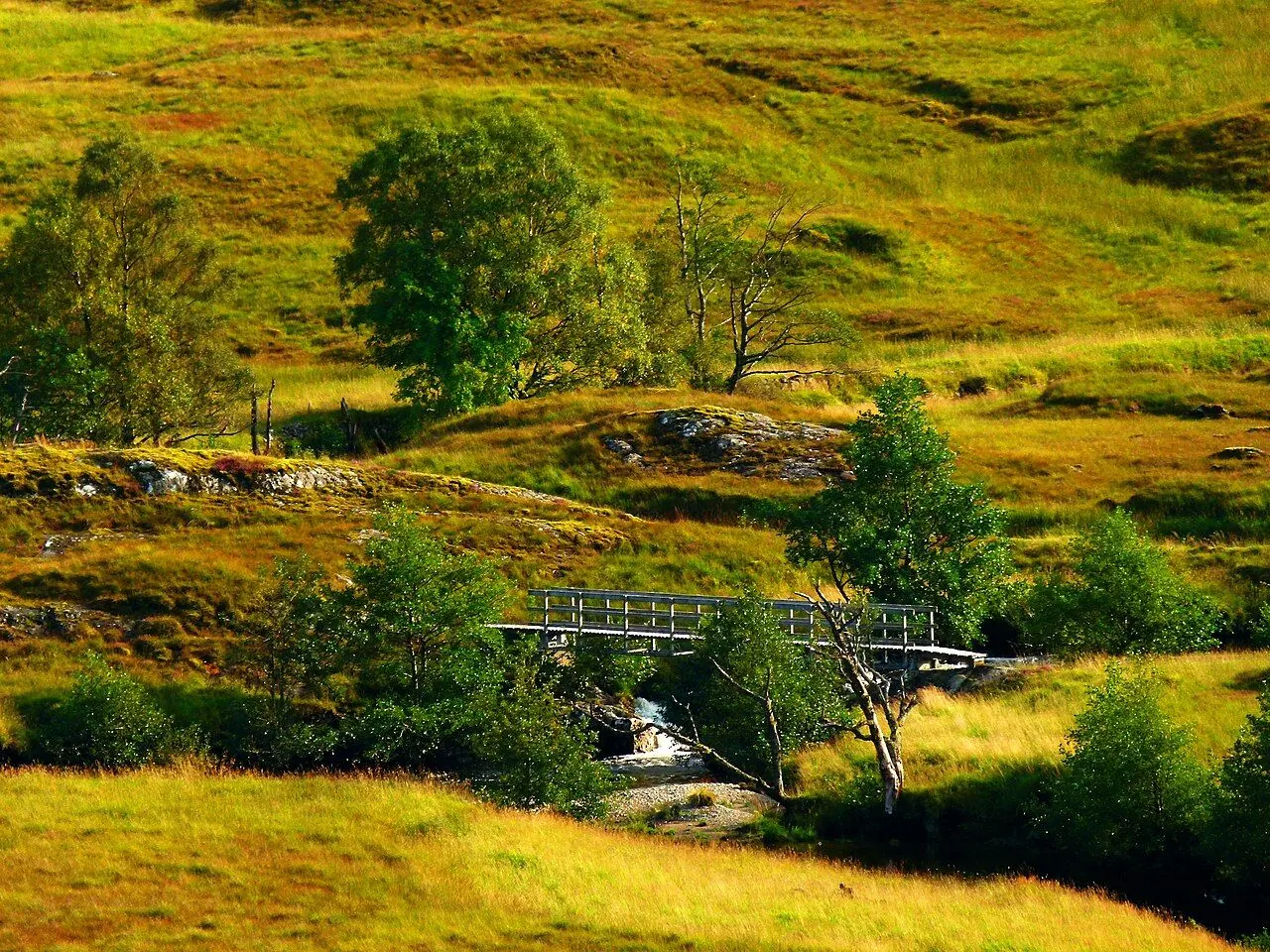 Walker wearing a midge head net beside a Highland loch